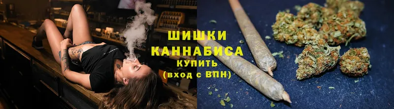 где купить наркотик  сайты даркнета клад  Марихуана Ganja  Венёв 